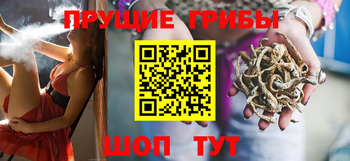 Томск  Псилоцибиновые грибы Psilocybe  Вход с VPN  Псилоцибиновые грибы ЛСД 