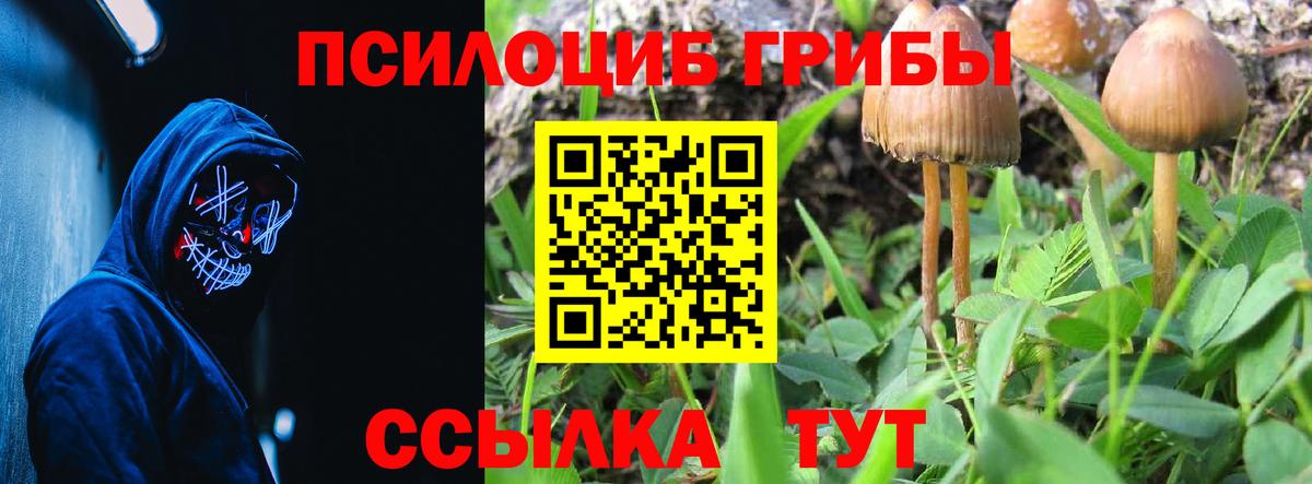 Псилоцибиновые грибы GOLDEN TEACHER Томск
