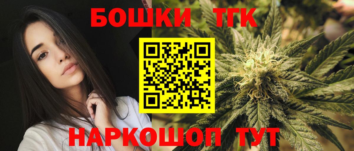 Конопля сатива Томск